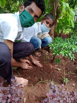 tree-plantation-2021-2