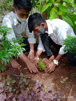 tree-plantation-2021-3